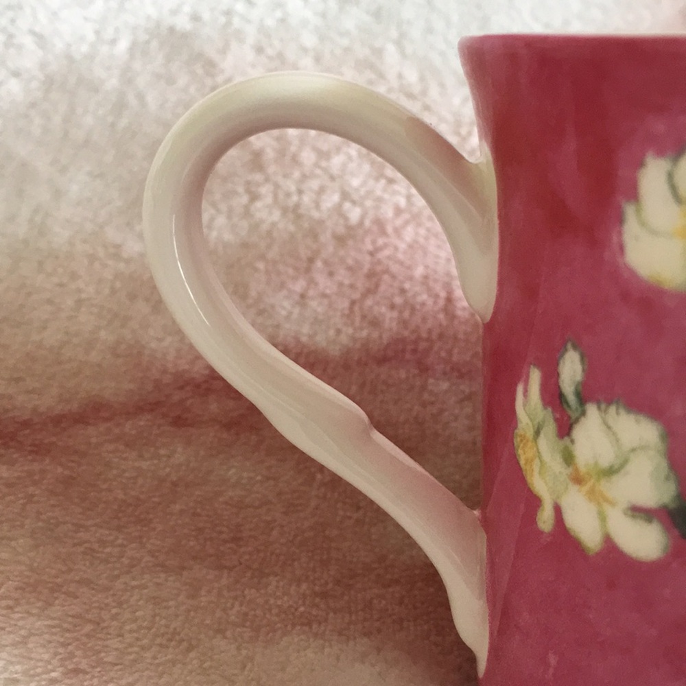 Stechcol Gracie Bone China Ivory Blossoms on Pink Tea Cup NWT 3.25x3.5” - Picture 15 of 16